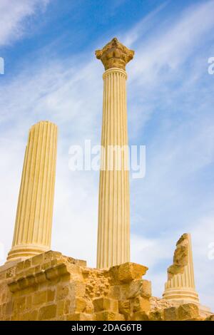 Römische Ruinen in Uthina (auch bekannt als Oudna), Ben Arous Governorate, Tunesien Stockfoto