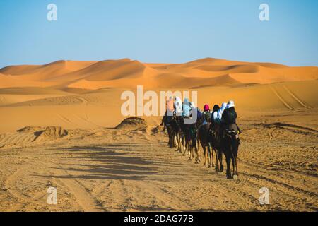 Merzouga, Marokko - 29 2019. APRIL: Schöner Tag in der Wüste, traditionelle Kamelritt-Tour in der Sahara Stockfoto