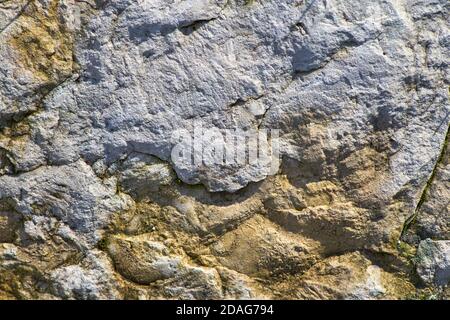 Sandsteinstruktur im Sonnenschein Stockfoto