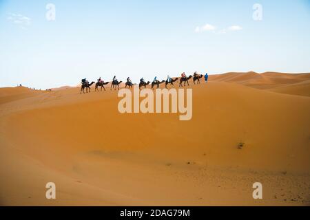Merzouga, Marokko - APRIL 29 2019: Blick von Touristen auf einem Kamelritt in der Sahara Wüste, symbolische repräsentative Tour für Marokko Stockfoto