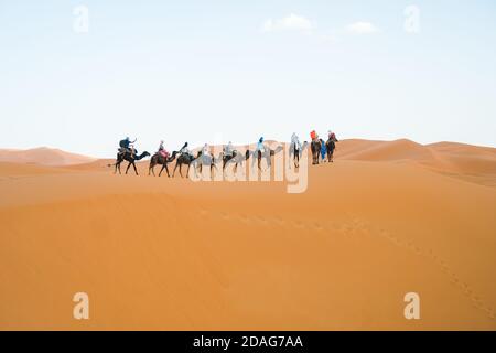 Merzouga, Marokko - APRIL 29 2019: Blick von Touristen auf einem Kamelritt in der Sahara Wüste, symbolische repräsentative Tour für Marokko Stockfoto