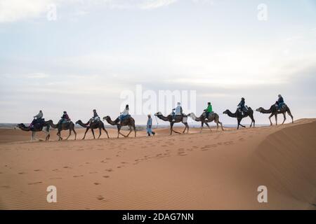 Merzouga, Marokko - APRIL 29 2019: Blick von Touristen auf einem Kamelritt in der Sahara Wüste, symbolische repräsentative Tour für Marokko Stockfoto