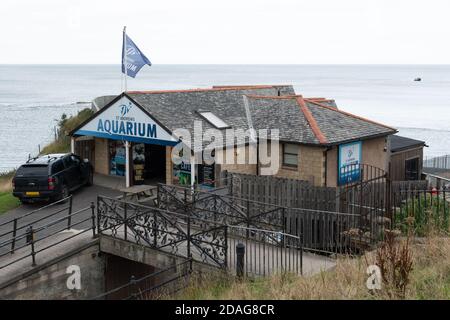 St Andrews, Schottland - 1. September 2020 - St Andrews Aquarium am Meer. Stockfoto