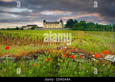 Chateau de Rully Landschaft aussicht mit Mohn bei Sonnenuntergang mit Herbst Weinberg von Antonin Rodet, Rully, Saone-et-Loire, Bourgogne Burgund Frankreich. Cote Chalonnaise Stockfoto