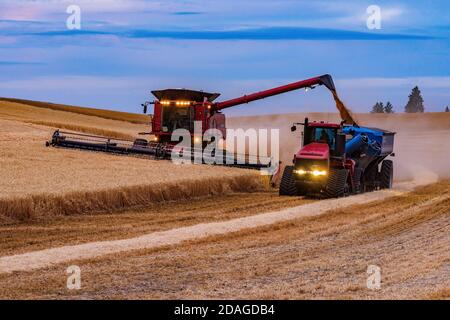 Caseih kombinieren Abladen Getreide zu Kinze Kornwagen gezogen durch Ein quadtrac Traktor in der Dämmerung in der Region Palouse Washington Stockfoto