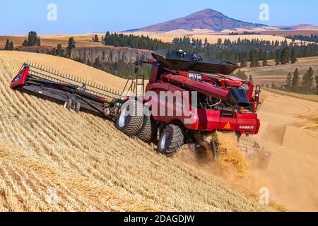 Caseih kombinieren Ernte Weizen auf den Hügeln des Palouse Region Ost-Washington mit Steptoe Butte im Hintergrund Stockfoto