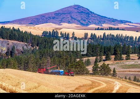 Case IH Mähdrescher und quadtrac Traktor ziehen einen Getreidewagen Während der Weizenernte mit Steptoe Butte im Hintergrund in Die Palouse Gegend von Washington Stockfoto