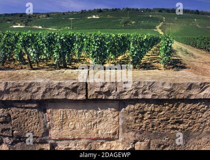 Steintafel des Weinbergs Romaneé-Conti, die von Sonnenstrahlen durchleuchtet ist, an der Grenzmauer des weltberühmten Weinbergs Romaneé-Conti Burgund, Vosne-Romanée, Côte d'Or, Frankreich. Stockfoto