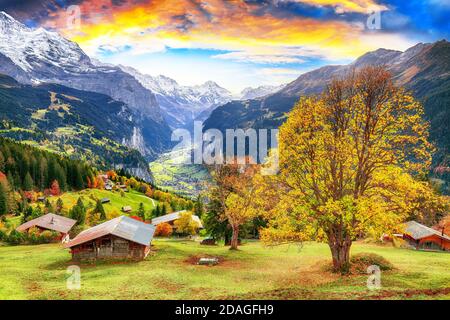 Fabelhafte Herbstansicht des malerischen alpinen Wengen-Dorfes und Lauterbrunnental mit Jungfrau und im Hintergrund. Lage: Wengen Dorf Stockfoto