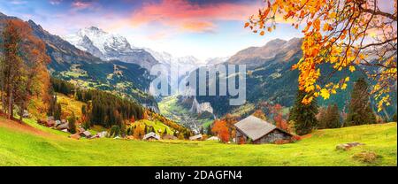 Landschaftlich reizvolle Herbstansicht des malerischen Bergdorfes Wengen und Lauterbrunnental mit Jungfrau und im Hintergrund. Lage: Wengen Dorf, Stockfoto