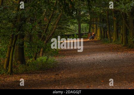 Beacon Hill in Leicestershire, einer der höchsten Orte in der Gegend, einige Felsen, Wald. Frühherbst bei Sonnenuntergang. Schöner, interessanter Ort für draußen. Stockfoto