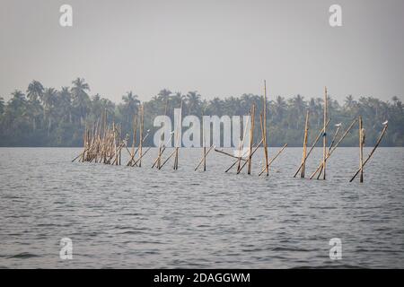 Bootsfahrt über die Lagune, Abidjan, Elfenbeinküste Stockfoto