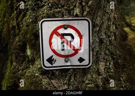 Ein abgeschlagene No Parking Schild an einen Baum genagelt Stockfoto