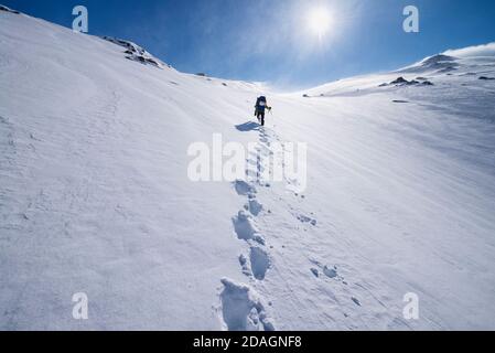 Weibliche Wanderer auf dem Gipfel des Mengensdalstinds in tiefem Schnee und starkem Wind, Moskenesøy, Lofoten-Inseln, Norwegen Stockfoto