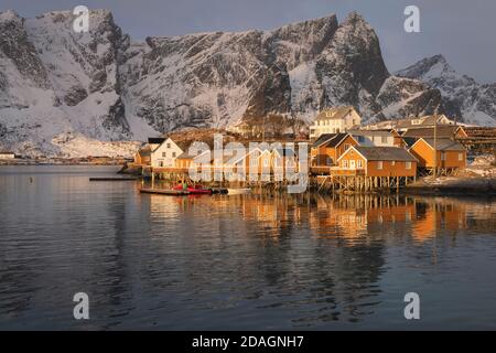 Sonnenaufgangslicht auf gelben Rorbu-Hütten in Sakrisøy, Moskenesøy, Lofoten Islands, Norwegen Stockfoto