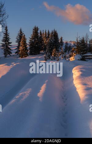 Winter verschneite Hügel, Spuren auf ländlichen Feldweg und Bäume in letzten Abend Sonnenuntergang Sonne Licht. Kleines und ruhiges alpines Dorf am Stadtrand. Stockfoto