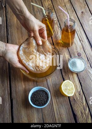 Kombucha-Pilz. Organisch fermentierter Tee Getränk. Stockfoto