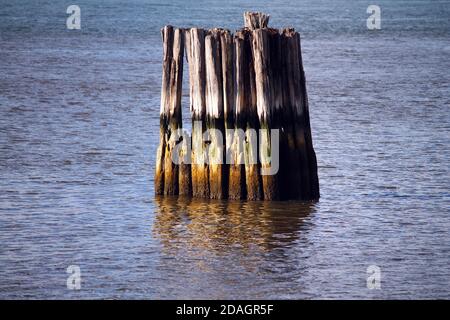 Die hölzernen Schutzvorrichtungen im ruhigen Wasser Stockfoto