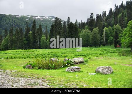 Berglandschaft. Kaukasus im Frühling. Avadhara, Republik Abchasien. Stockfoto