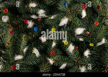 Layout aus Christbaumzweigen mit bunten Knöpfen. Nature New Year Konzept. Stockfoto