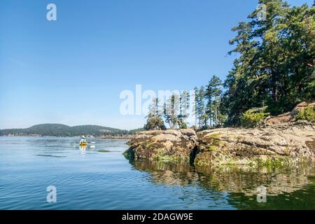 An einem wunderschönen, friedlichen Sommertag paddelt ein einsamer Kajakfahrer entlang einer felsigen, unberührten Küste auf den südlichen Golfinseln von British Columbia. Stockfoto