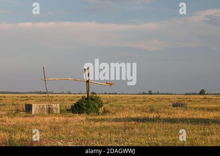 Ziehen Sie gut in die puszta, Österreich, Burgenland, Nationalpark Neusiedler See, Apetlon Stockfoto