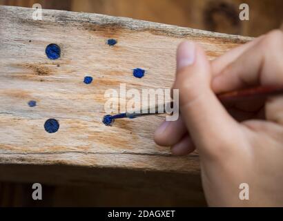 Wildbienennisthilfe, Nestbefestigungen sind mit Aquarell markiert, um im kommenden Jahr sehen zu können, ob Bienen geschlüpft sind, Deutschland Stockfoto