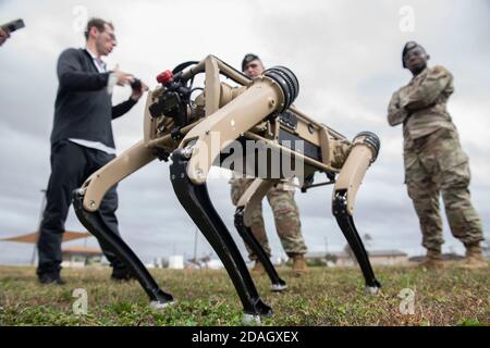 Ein unbemanntes Bodenfahrzeug der US Air Force Ghost Q-UGV, bekannt als Roboterhund, wird am 10. November 2020 auf der Tyndall Air Force Base in Panama City, Florida getestet. Tyndall ist eine der ersten Militärbasen, die die teilautonome UGV in ihre Sicherheitssatrouille aufgenommen hat. Stockfoto