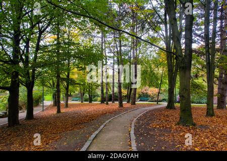 Herbst im Parc Georges Brassens - Paris, Frankreich Stockfoto