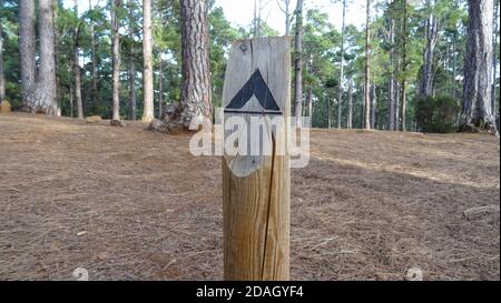 Melden Sie sich auf einem Kofferraum am Campingplatz an Stockfoto