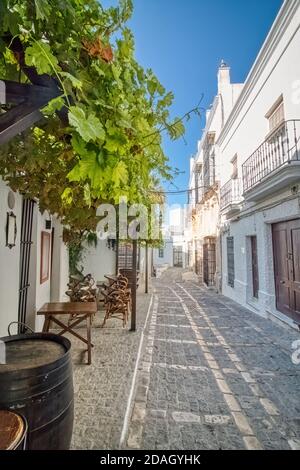Malerische Straße von Vejer de la Frontera, eines der schönsten weißen Dörfer in der Provinz Cádiz, Andalusien, Spanien Stockfoto