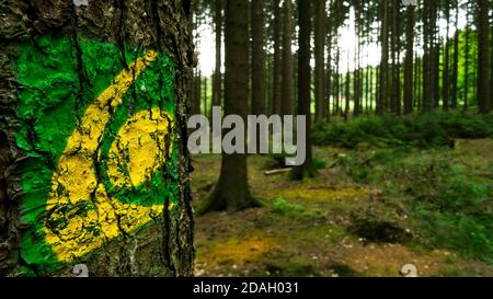 Wanderzeichen Eifelsteig auf Baumstamm im Wald gemalt Stockfoto