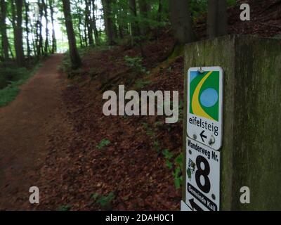 Wandermarkierung auf Stamm im Wald neben dem Pfad Stockfoto