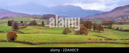 Ein Blick auf das Crake Valley von Lowick an einem herbstlichen Morgen. Stockfoto
