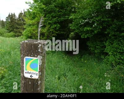 Wandermarkierung auf Stamm mit Wiese und Bäumen Stockfoto