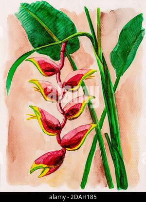 Darstellung von bunten Bananenblüten und grünen Blättern. Aquarellmalerei. Stockfoto