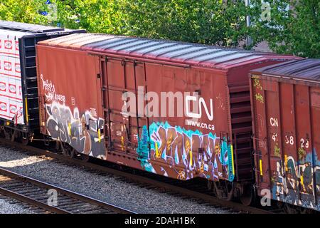 Ein CN-Boxcar mit Graffiti an der Seite auf einer Eisenbahnstrecke. Stockfoto