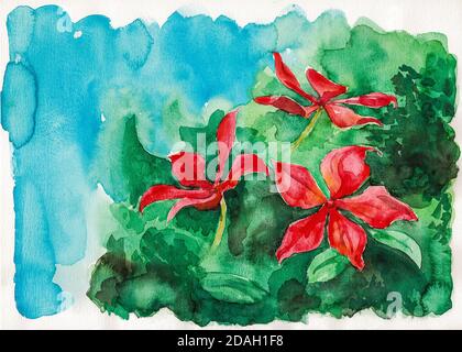Darstellung von roten Blüten über grünlichen Büschen. Aquarellmalerei. Stockfoto