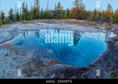 Leather Pool, eine warme geothermische Quelle im Fountain Paint Pot Bereich des Yellowstone National Park Stockfoto