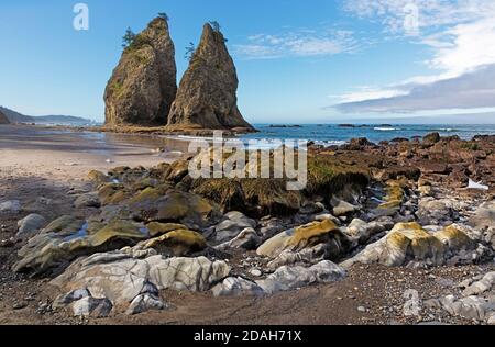 WA18004-00...WASHINGTON - Ebbe am Rialto Beach im Olympic National Park. Stockfoto