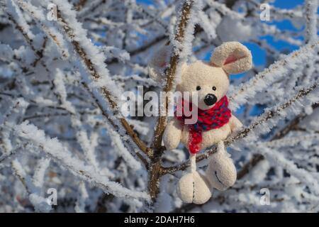 Weihnachten Spielzeug Maus, ein Symbol des chinesischen Neujahrs. In einem roten Strickschal sitzt auf verschneiten Ästen. Das Konzept von Winter, Wärme und Komfort Stockfoto