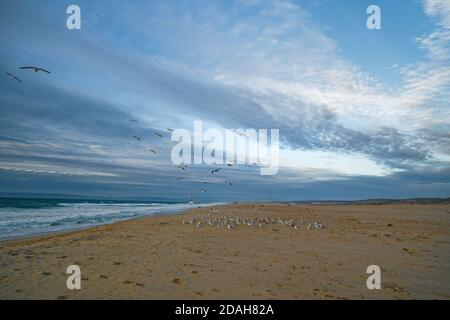 Malerische Landschaft von tropischen Strand mit bewölktem Himmel auf dem Hintergrund, blaue Stunde Stockfoto