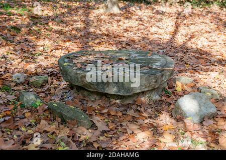 Stein Picknick-Tisch mit Herbstblättern bedeckt Stockfoto