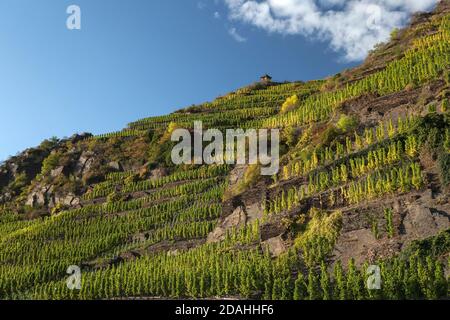 Geographie / Reisen, Deutschland, Rheinland-Pfalz, Rech, Weinberg im Ahrtal bei Rech, Additional-Rights-Clearance-Info-not-available Stockfoto