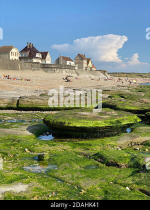 Steine bedeckt von grünen Algen und traditionellen Häusern am Strand von Audresselles, Cap Gris Nez, Opalküste, Nordsee, Frankreich Stockfoto