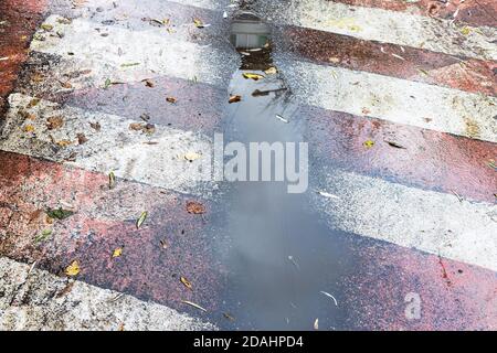 Schlammiger Regen Pfütze auf Feuerstraße Markierung in der Stadt Am Herbsttag Stockfoto