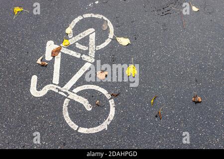 Nasse Oberfläche der Fahrradstraße in der Stadt im Herbstregen Stockfoto