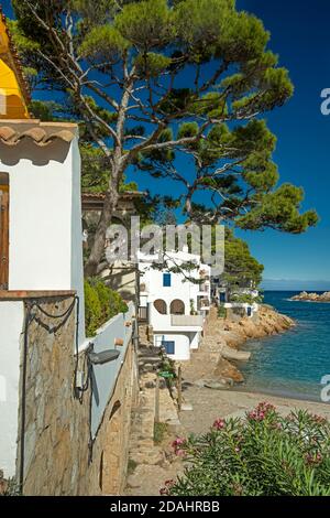 STRAND CALA SA TUNA BEGUR COSTA BRAVA KATALONIEN SPANIEN Stockfoto