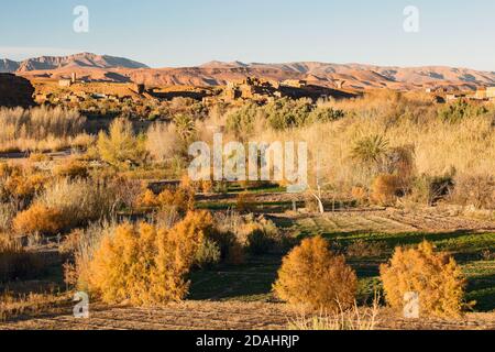 Landschaftlich schöne Aussicht auf Wüste Oase und Dorf in der marokkanischen Wüste, Ouarzazate, Marokko Stockfoto