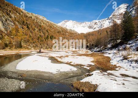 Mann wandern entfernt in der Preda Rossa Tal Landschaft im Spätherbst, mit dem ersten Schnee an einem sonnigen Tag. Val Masino, Lombardei, Italien. Stockfoto